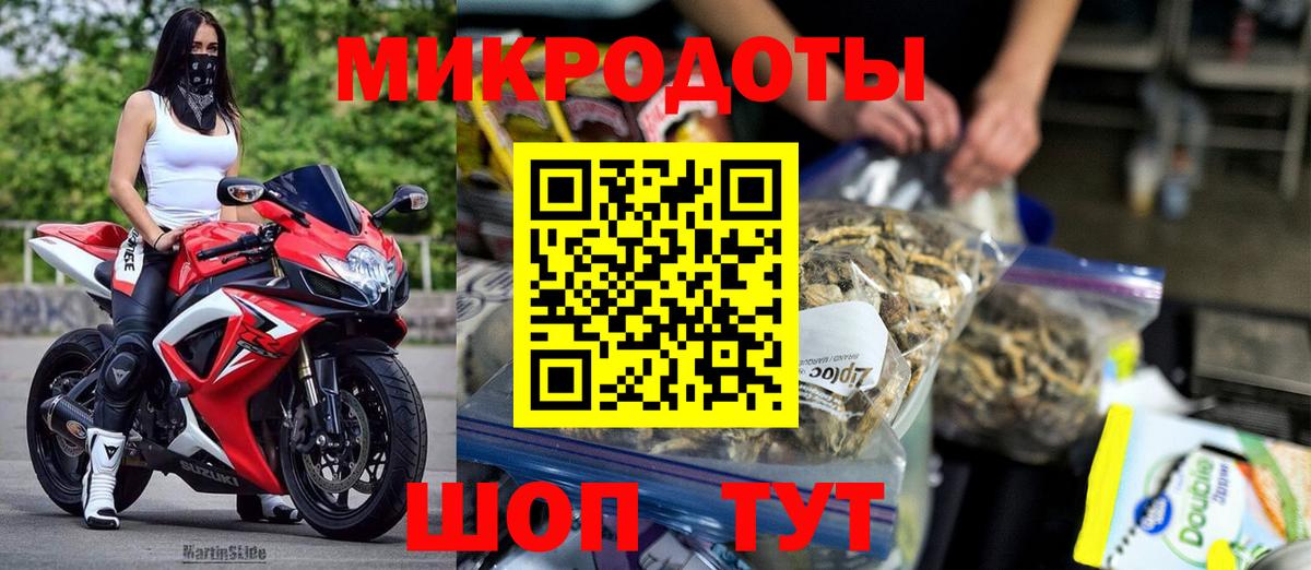 Галлюциногенные грибы Psilocybe Сунжа