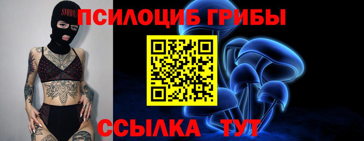 Сунжа  Галлюциногенные грибы мицелий  Галлюциногенные грибы MAGIC MUSHROOMS  Вход с VPN 